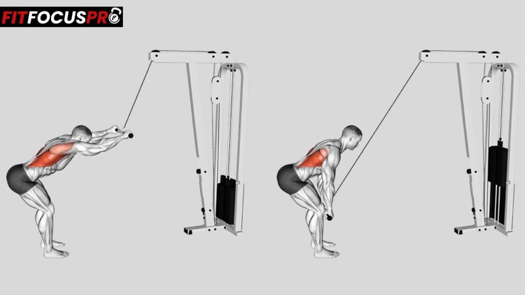 Exercice de tirage vertical prise serrée pour cibler le haut du dos