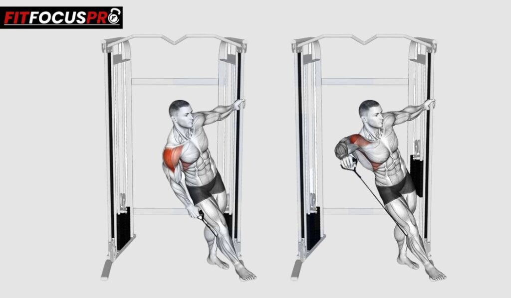 Élévations latérales à la poulie pour renforcer le muscle latéral de l'épaule