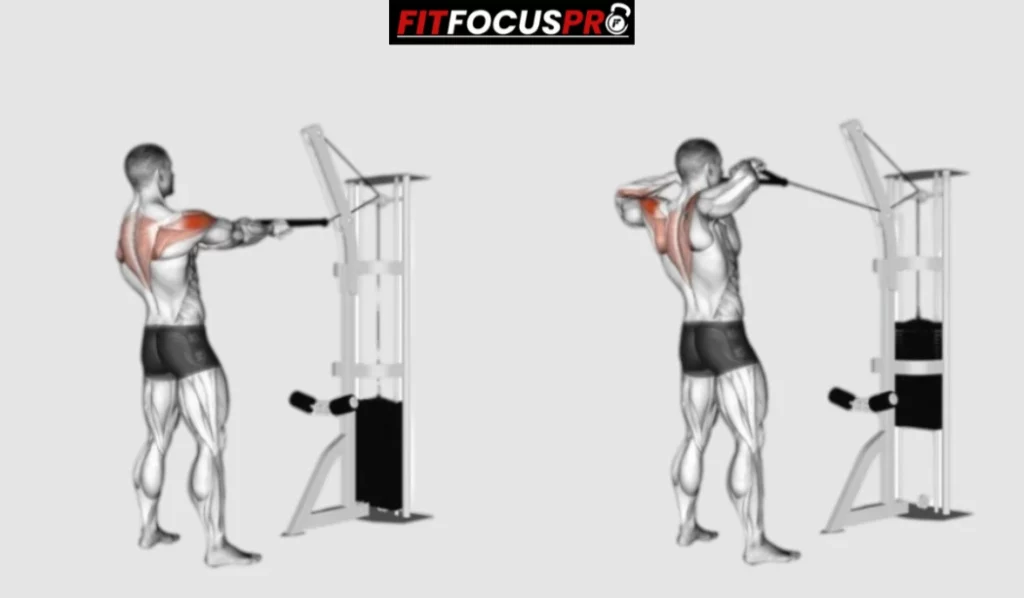 Exercice Face Pull pour renforcer les épaules 