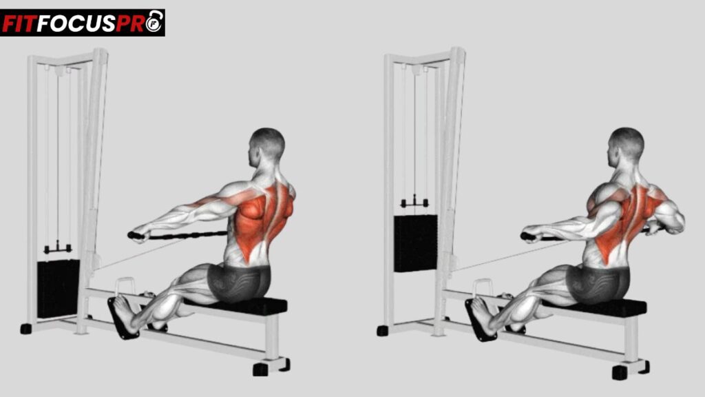 Musculation du dos avec le tirage horizontal à la poulie"