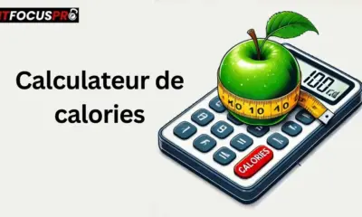 Calculateur de calories – Estimez votre apport calorique quotidien facilement.