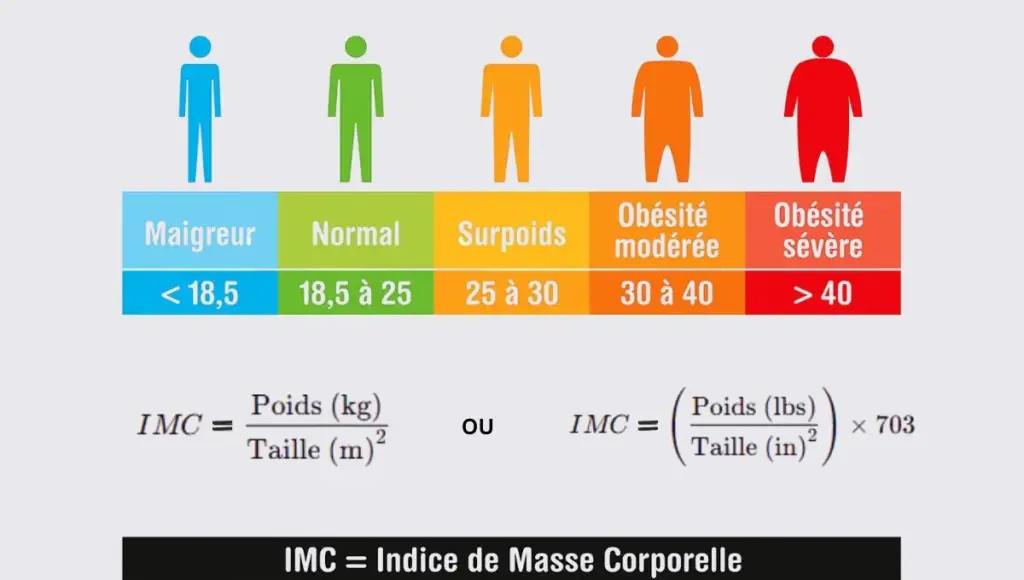 Calcul de l'IMC avec la formule d'Adolphe Quetelet