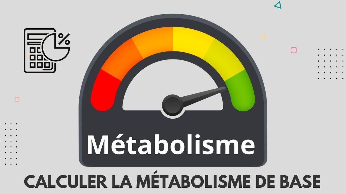Calcul Du Métabolisme De Base : Raison Et Optimiser Lénergie